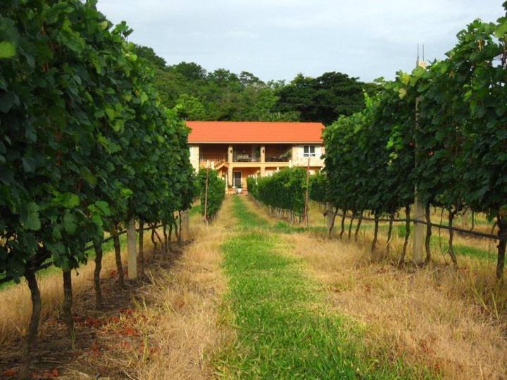 Granmonte Wine Cottage Phayayen Eksteriør bilde