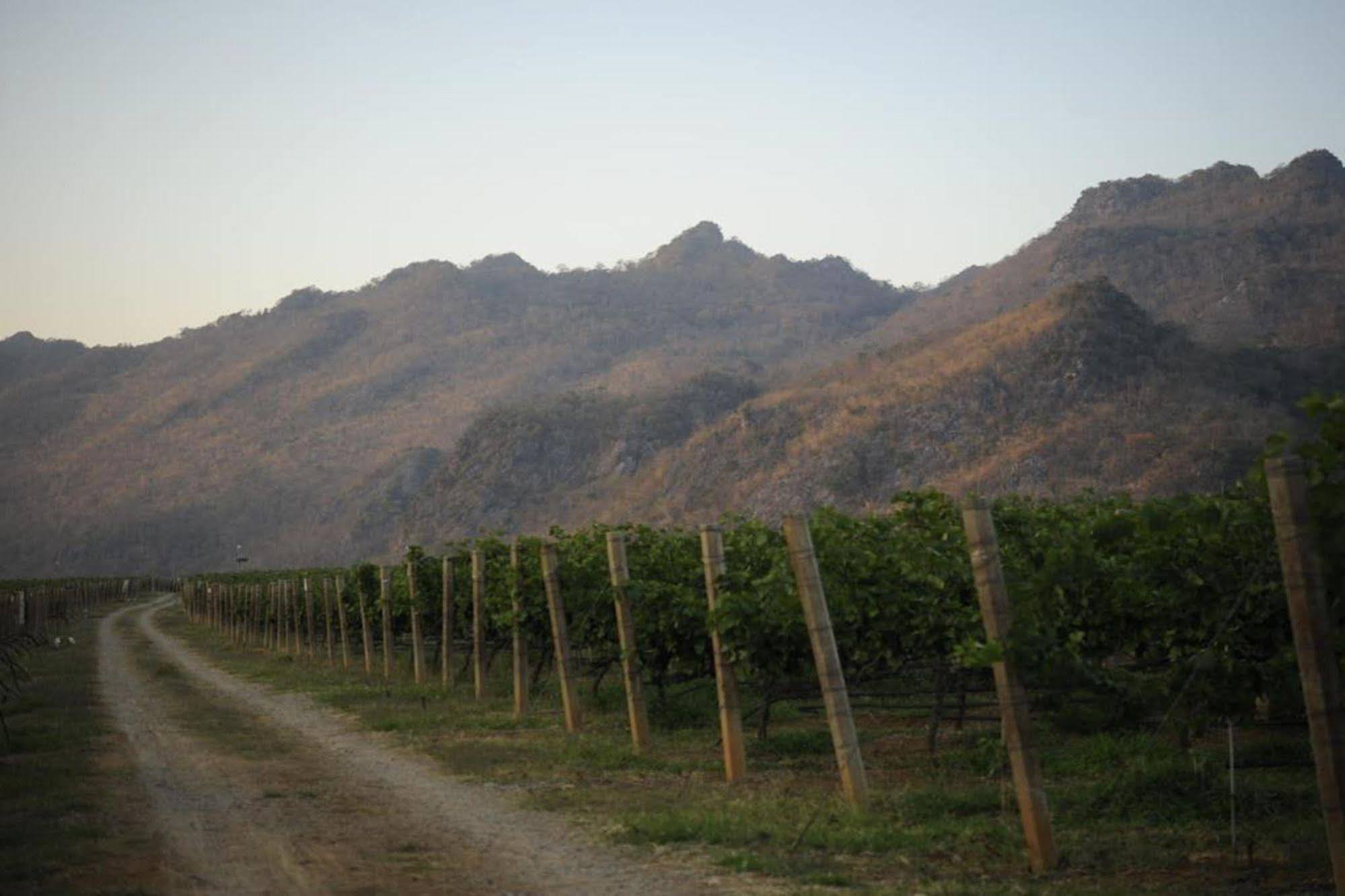 Granmonte Wine Cottage Phayayen Eksteriør bilde