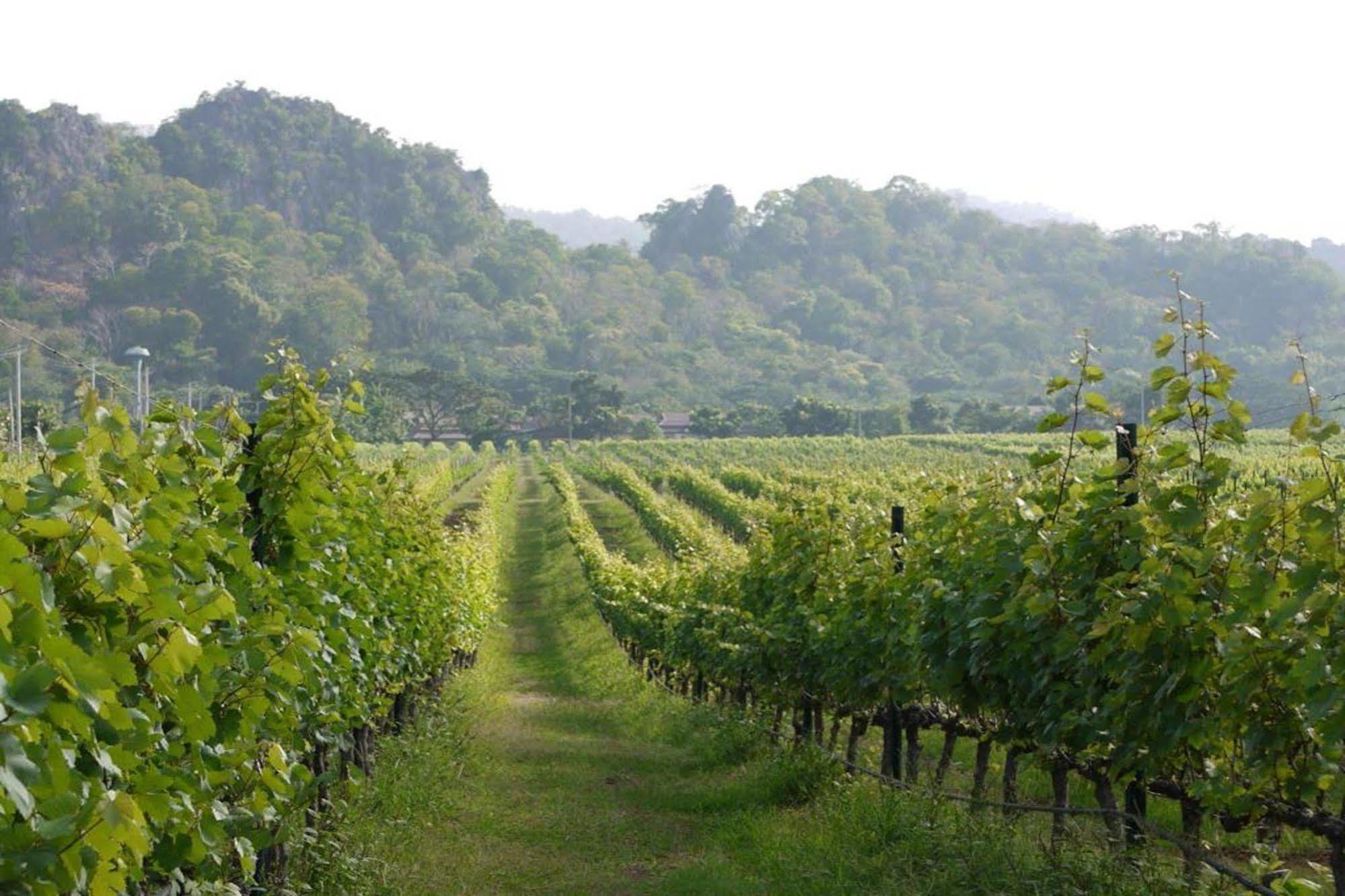 Granmonte Wine Cottage Phayayen Eksteriør bilde